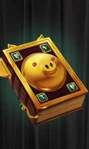 Book Of PiggyBank - Black Friday